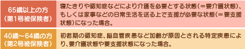 介護保険の適用条件の表